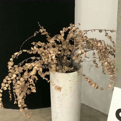 Furry插画构图技巧福瑞群